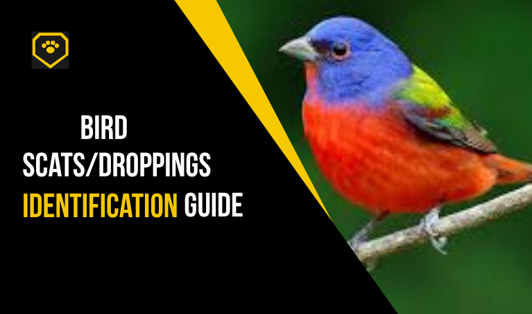 bird scat/droppings Identification guide