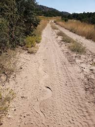snake track
