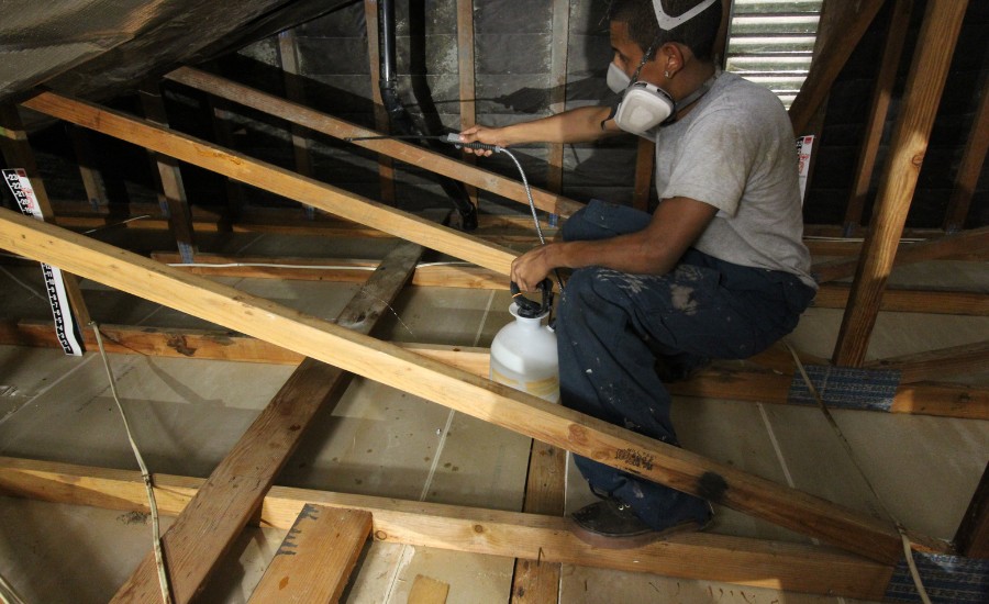 Attic Decontamination Services Central Florida