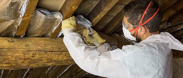 Attic Restoration Services in Central Florida