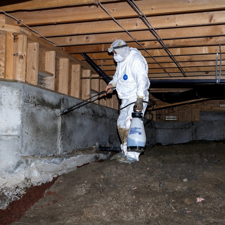 Crawlspace Cleanup Services Central Florida