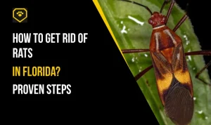 Common Pests in Florida: 10 Species + Full Identification Guide