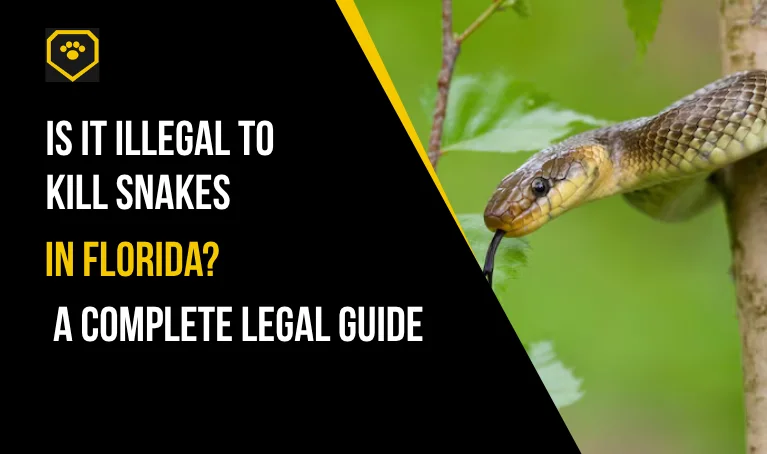 Is It Illegal to Kill Snakes in Florida? A Complete Legal Guide